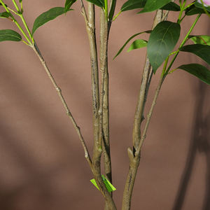 Plantes artificielles <span class=keywords><strong>Jasmin</strong></span> pleureur Couleur verte Plastique écologique en <span class=keywords><strong>pot</strong></span> Plante haute Décoration d'intérieur Diplôme Halloween - Product Image 5