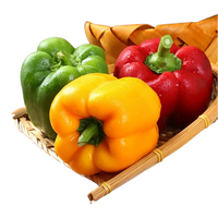 Proharvest OEM Brands Légumes surgelés IQF, Lanières de poivron jaune, Tranches de capsicum jaune surgelées, avec BRC