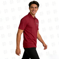 Polo Homme en Polyester à Col Polo Séchage Rapide Couleur Unie, Étiquette Tissée et Logo Sérigraphié Personnalisables, Vente en Gros