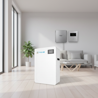 Batterie solaire de haute qualité au prix d'usine, 5 kWh, 10 kWh, 51,2 V, 48 V, murale, 200 Ah, pour stockage solaire domestique