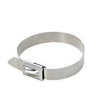 Attaches-câbles autobloquantes en acier inoxydable SS304 poli avec logo personnalisé - Tailles métriques et impériales, anti-vibration, étanches, 3 étoiles