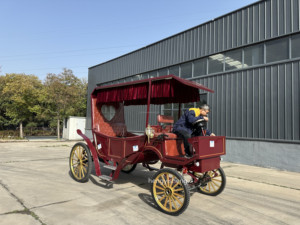 Charrette à chevaux électrique unique et magique pour princesse, élégante calèche à chevaux pour toutes les occasions - Product Image 5