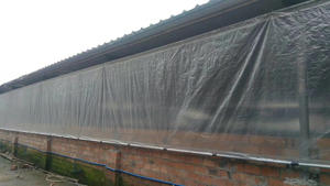 Bâche transparente haute résistance <span class=keywords><strong>pour</strong></span> abri de poulets, rideau d'élevage de porcs, film tissé à bord renforcé enroulable - Product Image 4