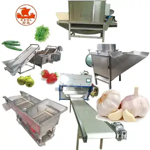 Hot Selling Chain Type Garlic Peeling Machine/Electric Commercial Garlic Peeler