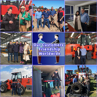 Zl16f 1.6ton china marke günstige neue farm yard garten traktor hydraulische radlader kleine mini radlader mit ce