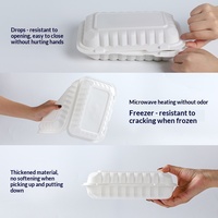 Boîte à lunch carrée jetable de qualité alimentaire 9x6 pouces, boîte à emporter pour hamburgers de style américain, emballage pour restauration rapide en PP, vente en gros YR-95206