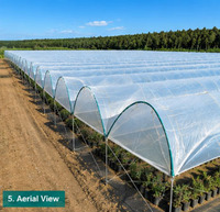 Serre agricole hydroponique multi-chapelles de grande envergure pour la culture des baies, avec couverture en film plastique PE