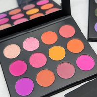 Palette de fard à paupières végétalienne haute pigmentée de luxe 2024 vente en gros marque privée bricolage chatoyant maquillage mat 12 couleurs palette de fard à paupières