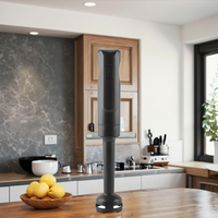 Prix usine mélangeur à main électrique en plastique noir multifonctionnel boîte de couleur anglais ménage Immersion pièces de rechange gratuites 300 XJ