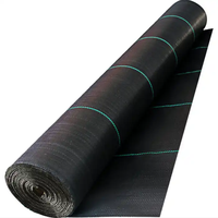 Tapis de protection contre les mauvaises herbes en tissu de paysage Tapis de contrôle des mauvaises herbes tissé à haute perméabilité Couvre-sol agricole