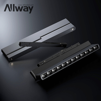 ALLWAY DALI Driver Dimmable Noir Blanc Doré Boîtier de lumière Couleur 2 Ligne 4 Ligne Système d'éclairage sur rail Éclairage sur rail Led magnétique