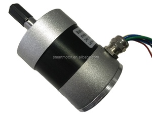 57 Mét DC không chổi than động cơ trục chính, CNC máy động cơ 10000 vòng/phút 12 mét trục lớn lực lượng xuyên tâm 300N - Product Image 6