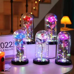 กุหลาบกาแลคซี24K ยอดนิยมพร้อมไฟ Led ในโดมแก้วสำหรับวันแม่วันวาเลนไทน์