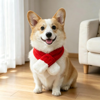 Ensemble de vêtements de Noël pour animaux de compagnie, assortiment varié, cape de Père Noël, bonnet de renne, écharpe, tenue de cosplay pour animaux de compagnie, chiot, chaton, vêtements pour animaux de compagnie OEM