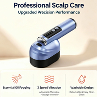 Peigne applicateur de liquide pour cuir chevelu, diffuseur d'huile de croissance capillaire électrique, massage par vibration à lumière rouge, 3 modes, masseur rechargeable USB