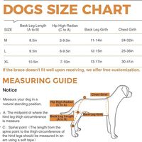 Genouillère pour chien pour support ACL déchiré avec attelle en métal Attelle de jambe pour chien avec support à charnière en métal pour un meilleur soutien et une meilleure récupération