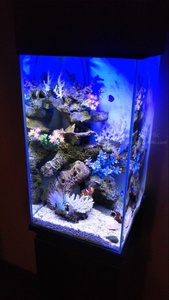 特注大型水槽 300ガロン <span class=keywords><strong>200</strong></span>ガロン 大型プラスチック水槽 アクアリウム水槽 大型アクリル水槽 - Product Image 2