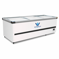 Congélateur horizontal commercial en acier inoxydable, grande capacité, pour supermarché, aliments surgelés