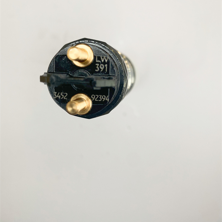 Genuine New Diesel Fuel Injector 0445120391 Common Rial Injector 0 445 120 391 for WEICHAI