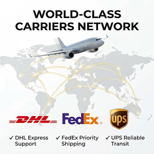 บริการขนส่งด่วน DDU/DDU ที่เข้าถึงได้ทั่วโลก FedEx DHL ค่าขนส่งถูกที่สุดจากจีนไปออสเตรเลีย นิวซีแลนด์ และทั่วโลก - Product Image 2