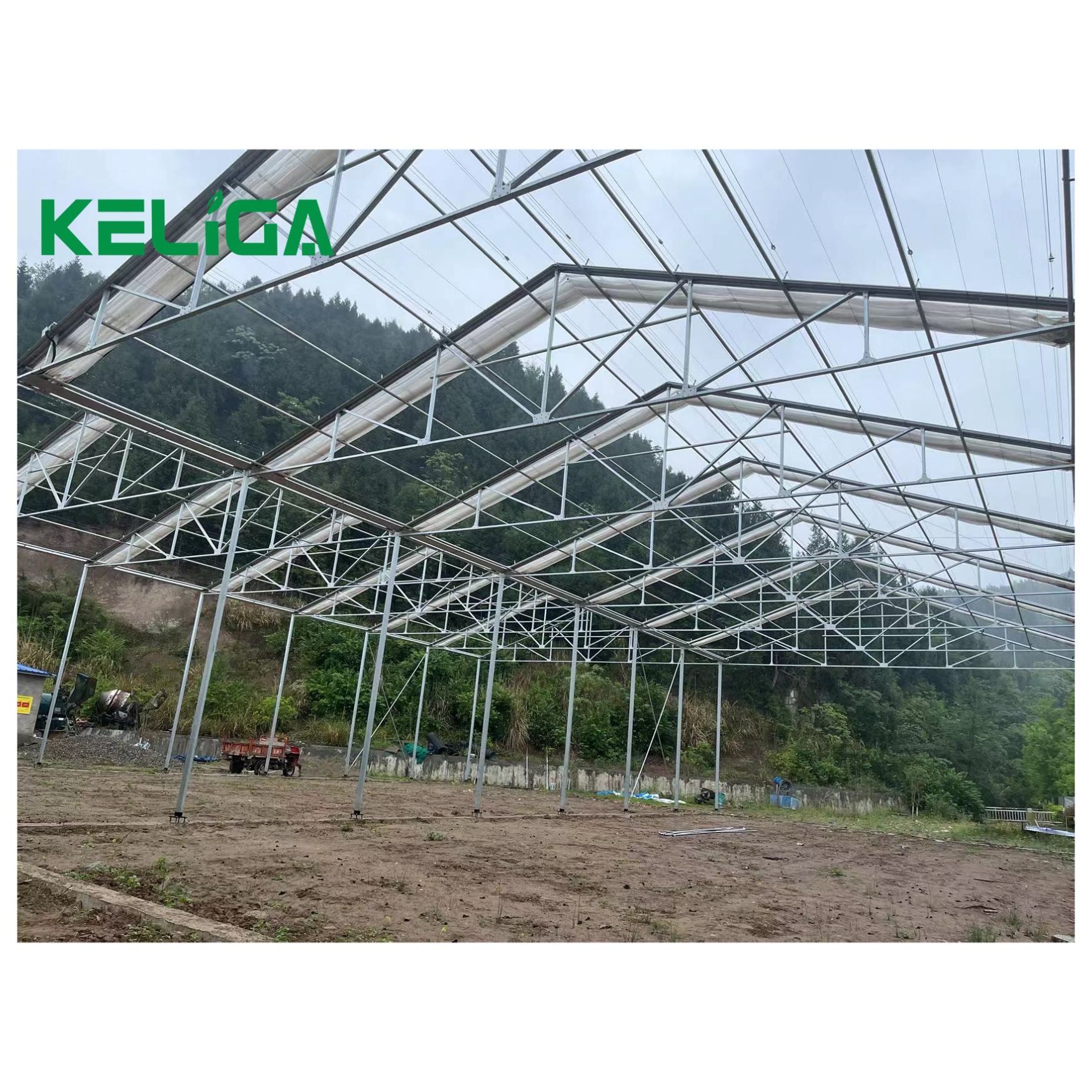 Заводская цена A-Frame, X-Frame, Rafter или плоская крыша, выдвижная крыша, теплица