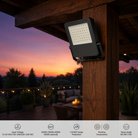 OUTLUX E017 100W Reflector de Alta Calidad para Estadios, Negro, IP65 Impermeable, Reflector LED para Exteriores