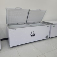 Congélateur Coffre Commercial Grande Capacité 1000 Litres, 1000*780*950mm, Réfrigérateur à Congélation Rapide avec Style Mono-Température