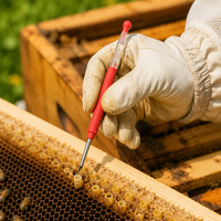 Aiguille élastique JIATAI pour greffage de larves de reine d'abeille, outils de greffage en plastique pour apiculteur