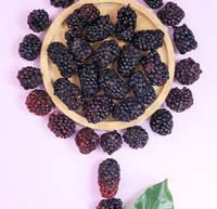 Mora Orgánica Entera de Sabor Dulce, Procesada 100% Naturalmente, Mora Orgánica Premium, Arándanos Deshidratados Orgánicos