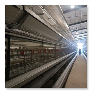 Tavuk döşeme için otomatik katman kafes kullanılan kanatlı pil tavuk kümesi satılık kuş kafesleri üzerinde en iyi fiyat - Product Image 6