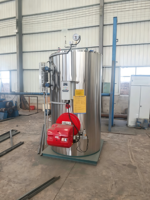 Générateur de vapeur vertical 1T/h à fioul/gaz, source de chaleur pour le chauffage des réservoirs d'eau et des poutres, et pour le chauffage des cours