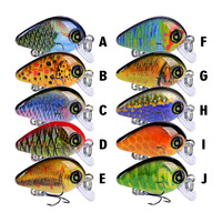 Hessen HSCK005-1 Mini Crankbait imprimé 2,85 cm 1,95 g pour poisson-chat, brochet et saumon - Leurre de pêche artificiel dur