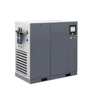 Attractive Price Compressor Mini 15 hp 150 CFM High Pressure N2 10 Litre Air Compressor for Sweeping Line