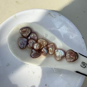 <span class=keywords><strong>Almejas</strong></span> de ostras de <span class=keywords><strong>perlas</strong></span> vivas en forma de corazón cultivadas en agua dulce <span class=keywords><strong>con</strong></span> embalaje al vacío para el Día de San Valentín - Product Image 2