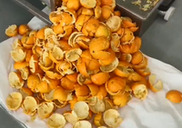 Citrus Oranje Juicer Machine Industriële Fruit Sapcentrifuge Sinaasappelsap Extraheren Machine