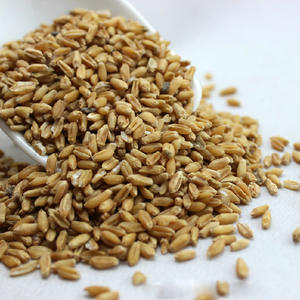 Trigo Crudo Seco Fu <span class=keywords><strong>Xiao</strong></span> <span class=keywords><strong>Mai</strong></span>, Trigo Encogido, Trigo Claro para Hierbas - Product Image 3