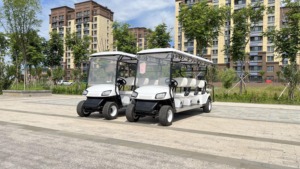 Barato coche de golf de doble asiento 4 plazas coche de Club eléctrico carrito de golf asequible 2 plazas mini coche de turismo golf - Product Image 5