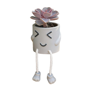 Pot de fleurs multi-feuilles Eskimo Doll, objet décoratif pour plantes en pot créatives, décoration de bureau à domicile - Product Image 5