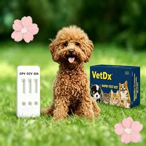 Kit Test Rapido Antigene Canino CPV/CCV/GIA <span class=keywords><strong>Giardia</strong></span> Corona Virus Parvovirus per <span class=keywords><strong>Cani</strong></span> - Product Image 1