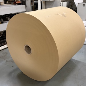 Rouleau de papier laminé PE de qualité alimentaire, imprimable en offset, format jumbo, pour emballages de snacks et vaisselle jetable - Product Image 3