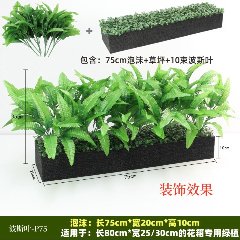 La feuille persane P75 convient aux jardinières de 80 cm