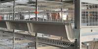 Cage à poulets automatique multicouche avec système de ventilation, solution automatisée d'élevage avicole, cage à poulets automatique