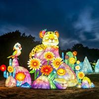 Lanternes de festival personnalisées en forme de singe mignon, lanternes en tissu de soie faites à la main à Zigong, lumière LED, imperméables, pour l'extérieur, Nouvel An, Halloween