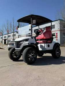 Vehículo Eléctrico Club Car con Motor de 5kw, Batería de 48v, 2 Plazas, Chasis de Aluminio, Buggy para Caza, Controlador Curtis, Certificado DOT y EEC - Product Image 3