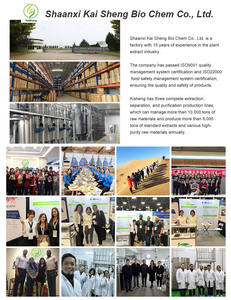 アピゲニンパウダー カモミールエキス カモミール花エキス アピゲニン - Product Image 2