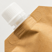 Pochette à bec verseur en papier kraft biodégradable, sac d'emballage liquide écologique à fond plat pour jus et sauces, vente en gros OEM