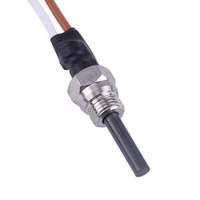 Bougie de préchauffage 12V pour chauffage diesel Eberspacher Hydronic D5WS D4WSC B5WSC, allumeur pour chauffage d'eau de stationnement auto/camping-car
