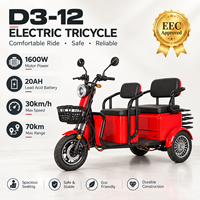 Tricycle cargo électrique à trois roues avec panier arrière, moteur 72V 20Ah 1600W, autonomie 70 km, capacité de charge 313 kg, vente en gros