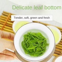Thé vert parfumé de style Biluochun de printemps frais, thé en feuilles entières de qualité supérieure, arôme intense, 500g, vente en gros