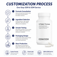 Capsules Probiotiques H. Pylori Confort Gastrique Bien-être Estomac Bactéries Utiles Végétariennes Marque Privée Fournisseur de Formules OEM ODM